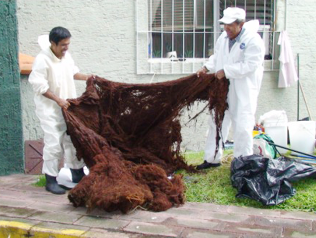 Serviciode lavado y reparacion de cisternas con raices