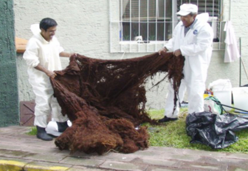 Limpieza y desinfección de aljibes industriales contaminados con raices reparado reparar reparacion